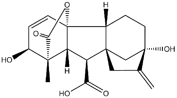 赤霉素GIBBERELLIC ACID，居然有這么神奇？